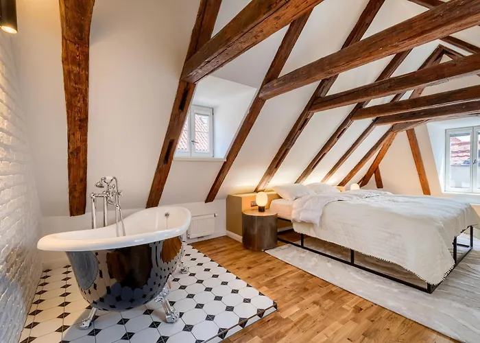 Hotel Domus Balthasar Boutique Praag