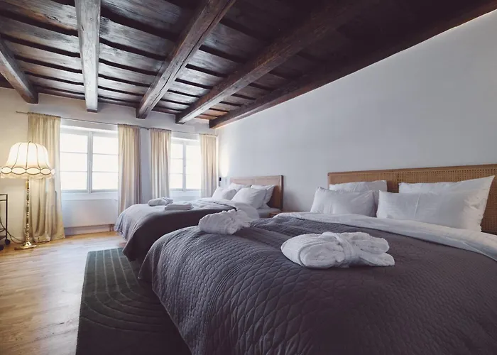 Hotel Domus Balthasar Boutique Praag
